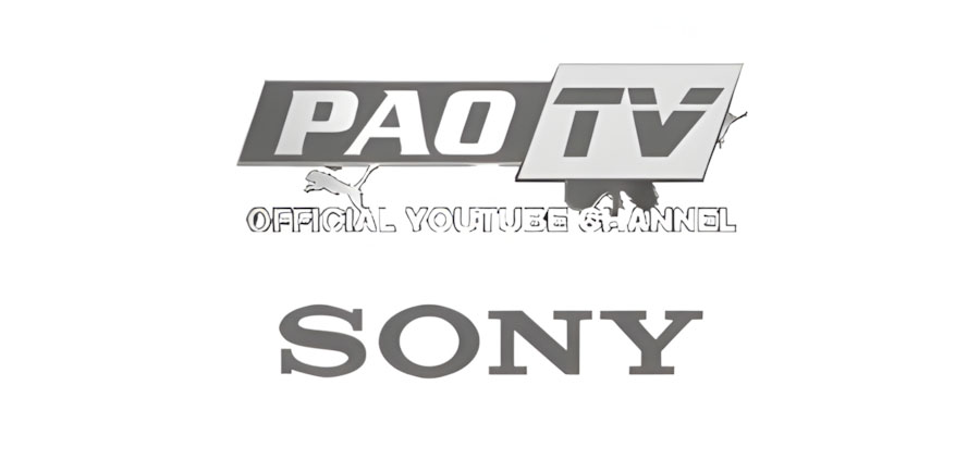 PAO TV Purchased Sony PXW-X70